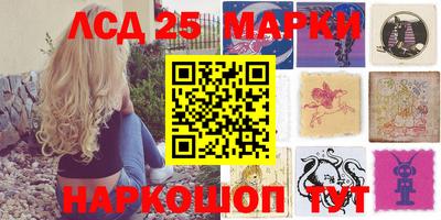 шишки Будённовск