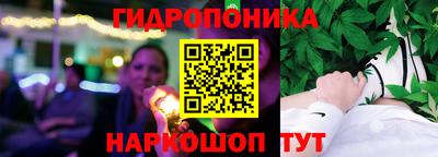 шишки Будённовск