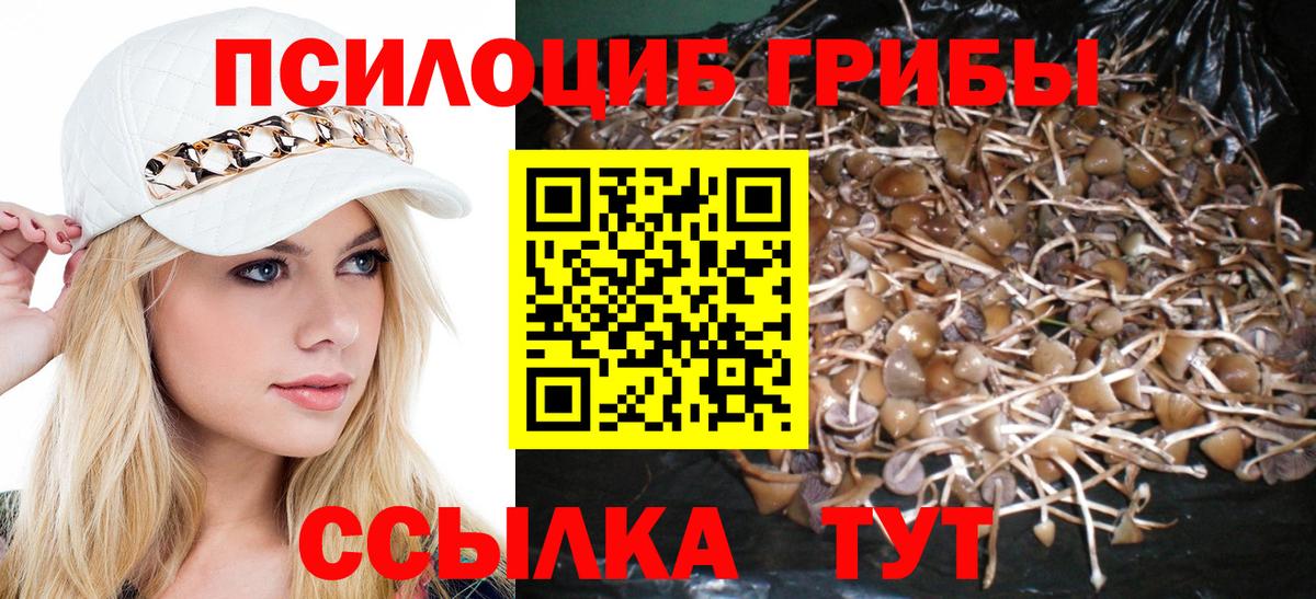 Псилоцибиновые грибы ЛСД  Вход с VPN  Ростов-на-Дону 