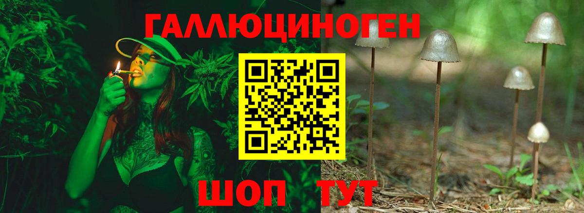 Галлюциногенные грибы Magic Shrooms Ростов-на-Дону